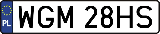 WGM28HS