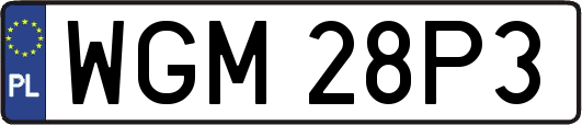 WGM28P3