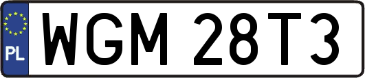 WGM28T3