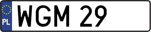 WGM29