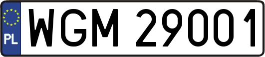 WGM29001