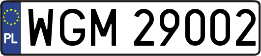 WGM29002