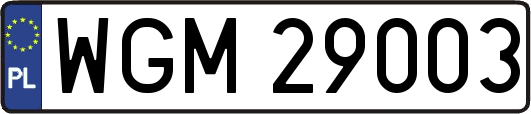 WGM29003