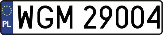 WGM29004