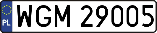 WGM29005