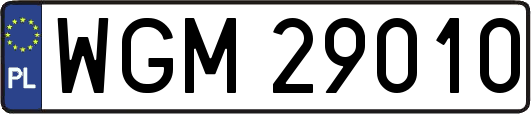 WGM29010