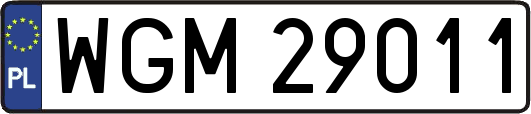 WGM29011