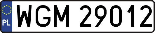 WGM29012