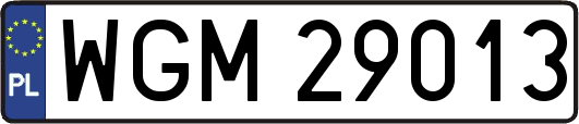 WGM29013