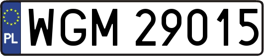 WGM29015