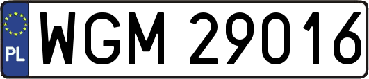 WGM29016