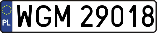 WGM29018