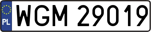 WGM29019