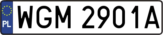 WGM2901A