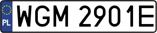 WGM2901E