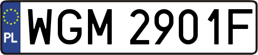 WGM2901F
