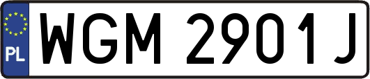 WGM2901J