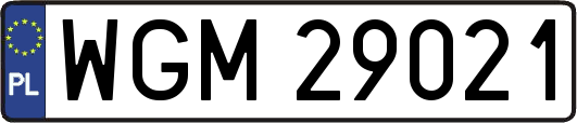 WGM29021