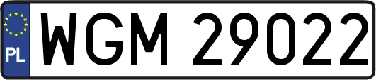 WGM29022