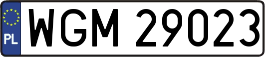WGM29023