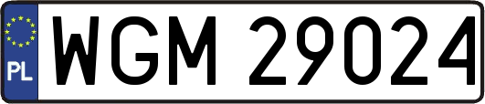 WGM29024
