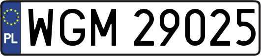 WGM29025