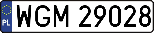 WGM29028