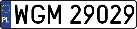 WGM29029