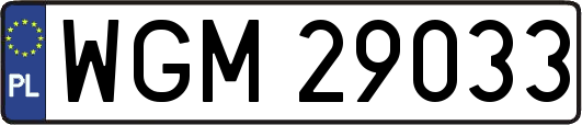 WGM29033