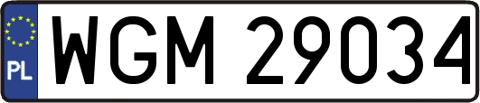 WGM29034