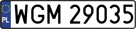 WGM29035