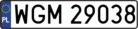 WGM29038