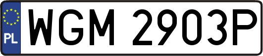 WGM2903P