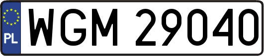 WGM29040