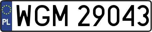 WGM29043