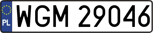 WGM29046
