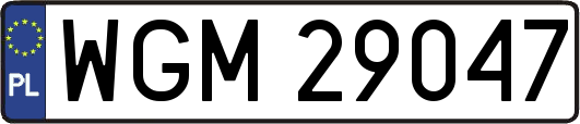 WGM29047