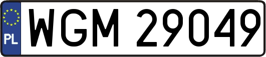 WGM29049