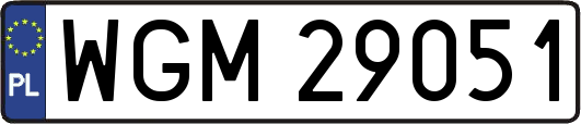 WGM29051