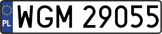 WGM29055