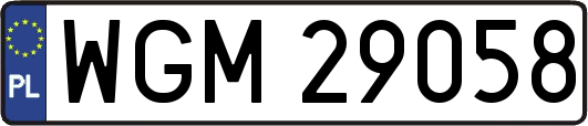 WGM29058
