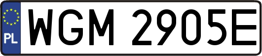 WGM2905E