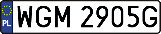 WGM2905G
