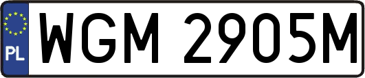 WGM2905M