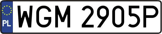 WGM2905P