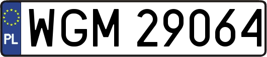 WGM29064