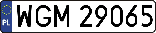 WGM29065