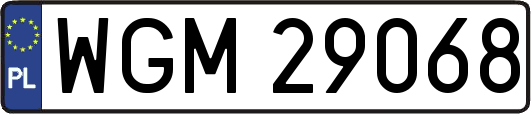 WGM29068