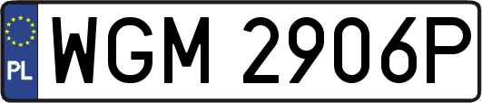 WGM2906P