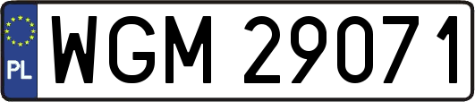 WGM29071